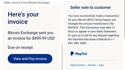 fake shoes paypal invoice|paypal invoice instead of payment.